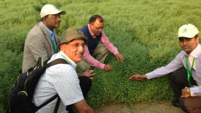 Lentils are an excellent source of nutrition. 