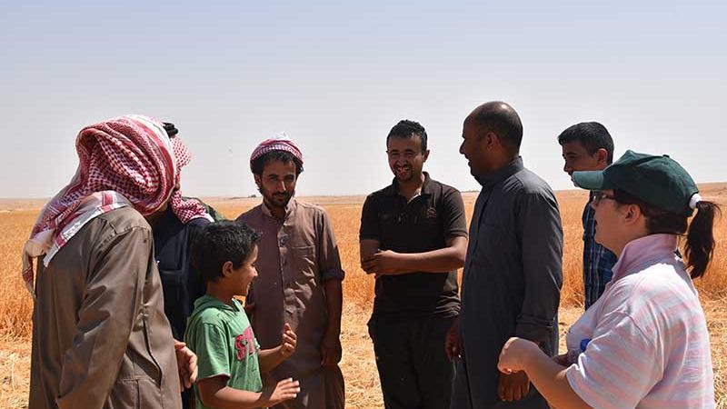 Mrs. Mira Haddad is collecting feedback from local farmers. Photo credit: Sanobar Khudaybergenova, ICARDA.