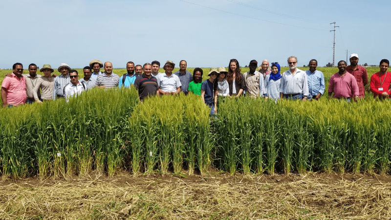  Participants attended a three-week training comprising theoretical and practical sessions. Photo: Courtesy of Wuletaw Tadesse