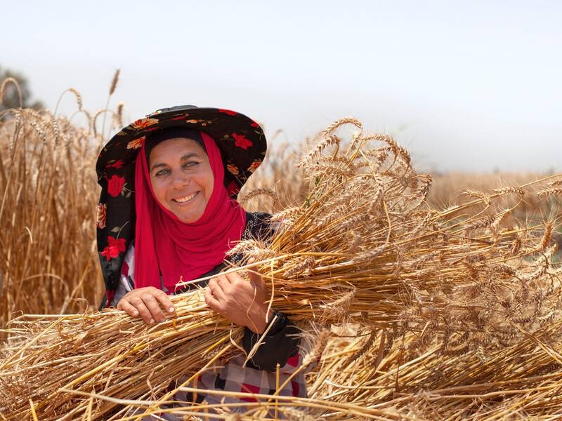 Climate Smart Crops