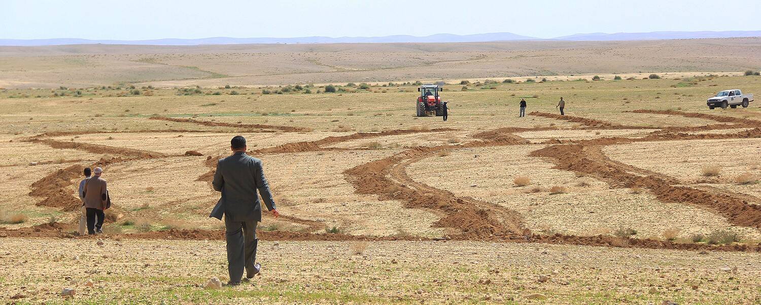 CGIAR, Iraq and Tunisia Salinity