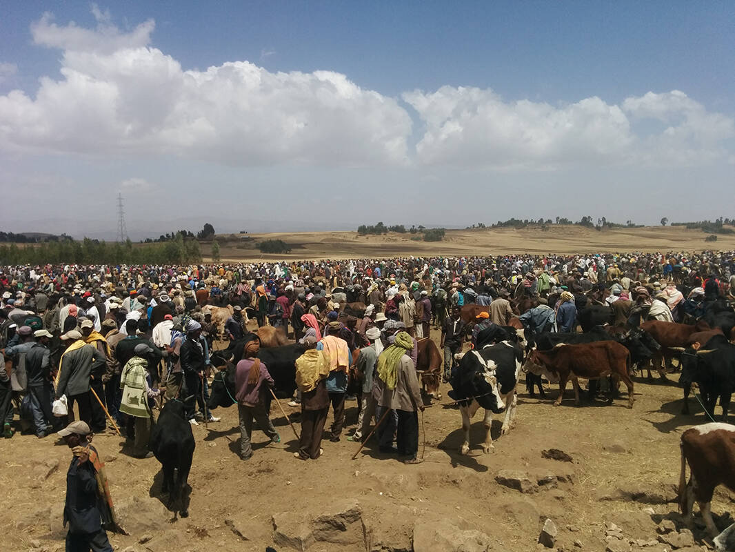 Livestock Markets have no facilities