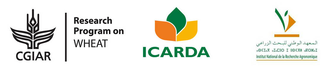 LOGOS