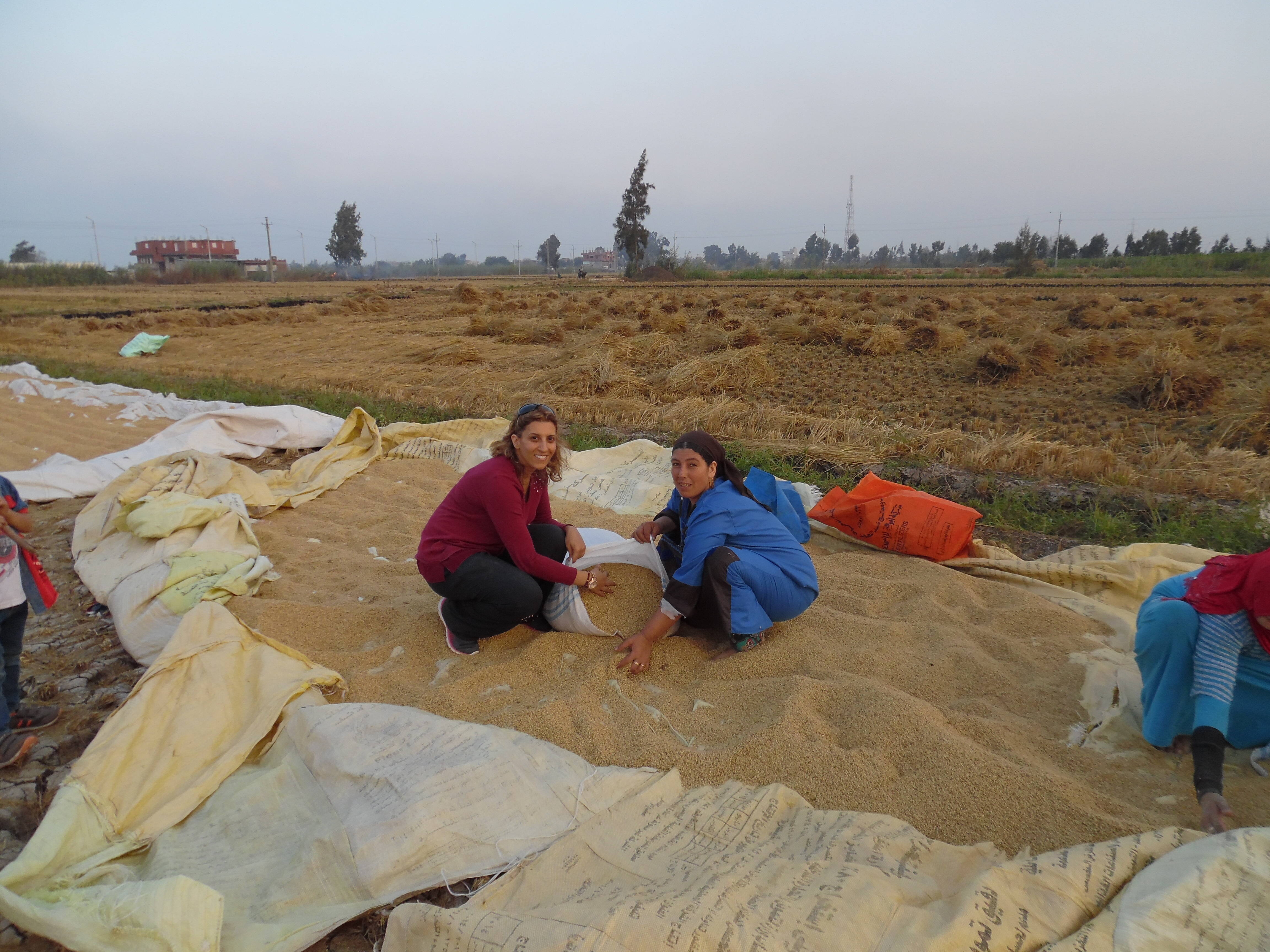 Dina Najjar doing fielwork