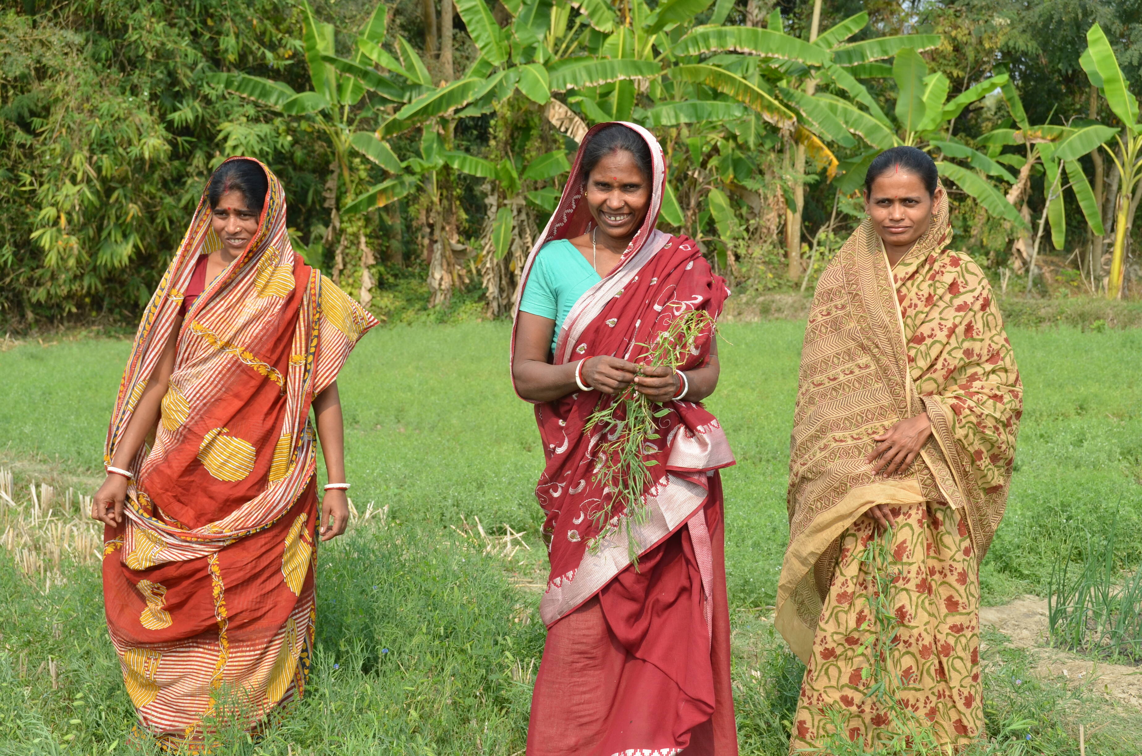 Lentil farmers in India Lentil farmers in India