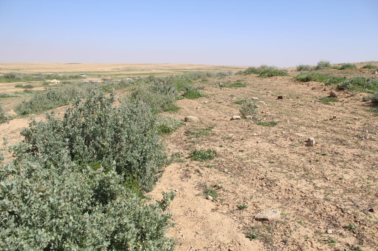 Marab Jordan Marab Jordan