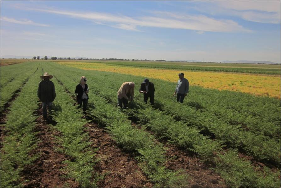 Conservation Agriculture Conservation Agriculture