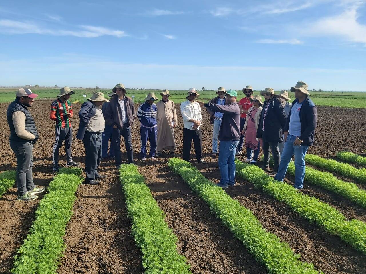 Dr. Devkota describes her lentil/quinoa relay-cropping experiment to Moroccan farmers Dr. Mina Devkota describes her lentil/quinoa relay-cropping experiment to Moroccan farmers