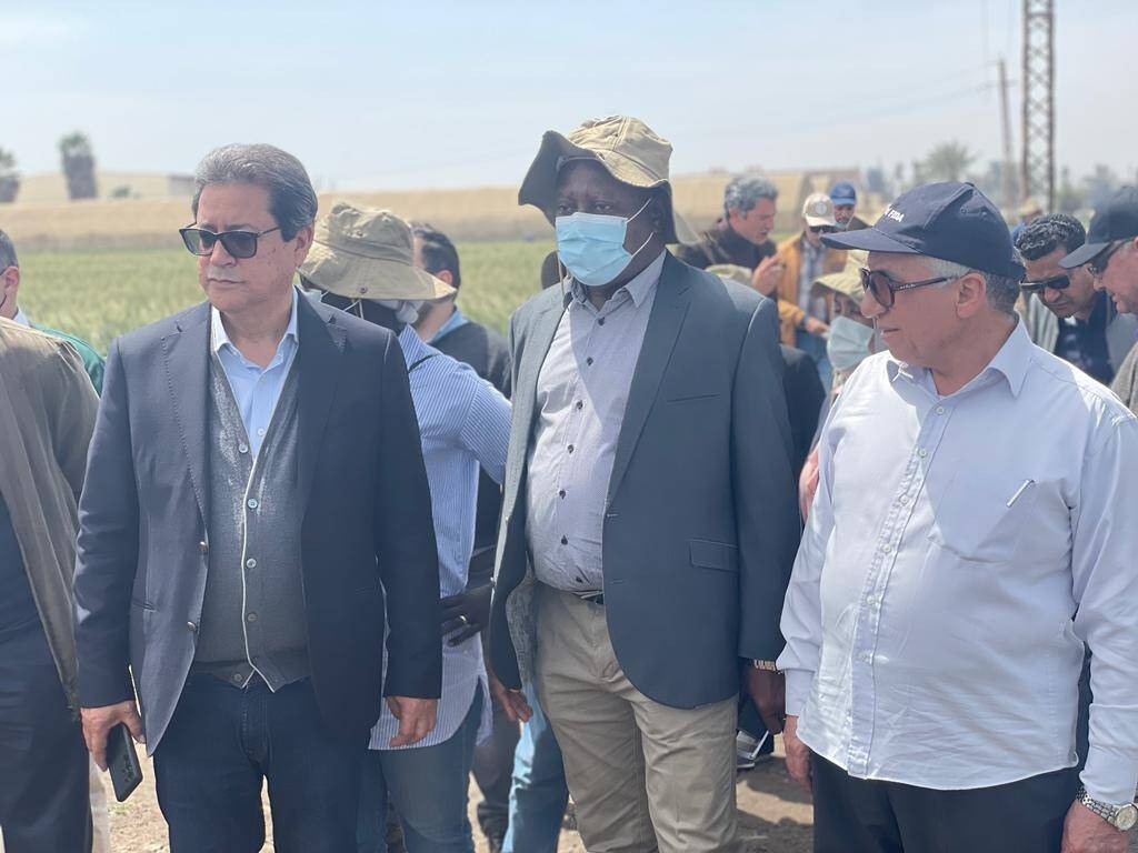 Mr. Abousabaa (L), Dr. Roy-Macauley (C), and Dr. Soliman (R) discuss how targeted crop-breeding innovation can address the needs of countrywide farming communities affected by climate change.