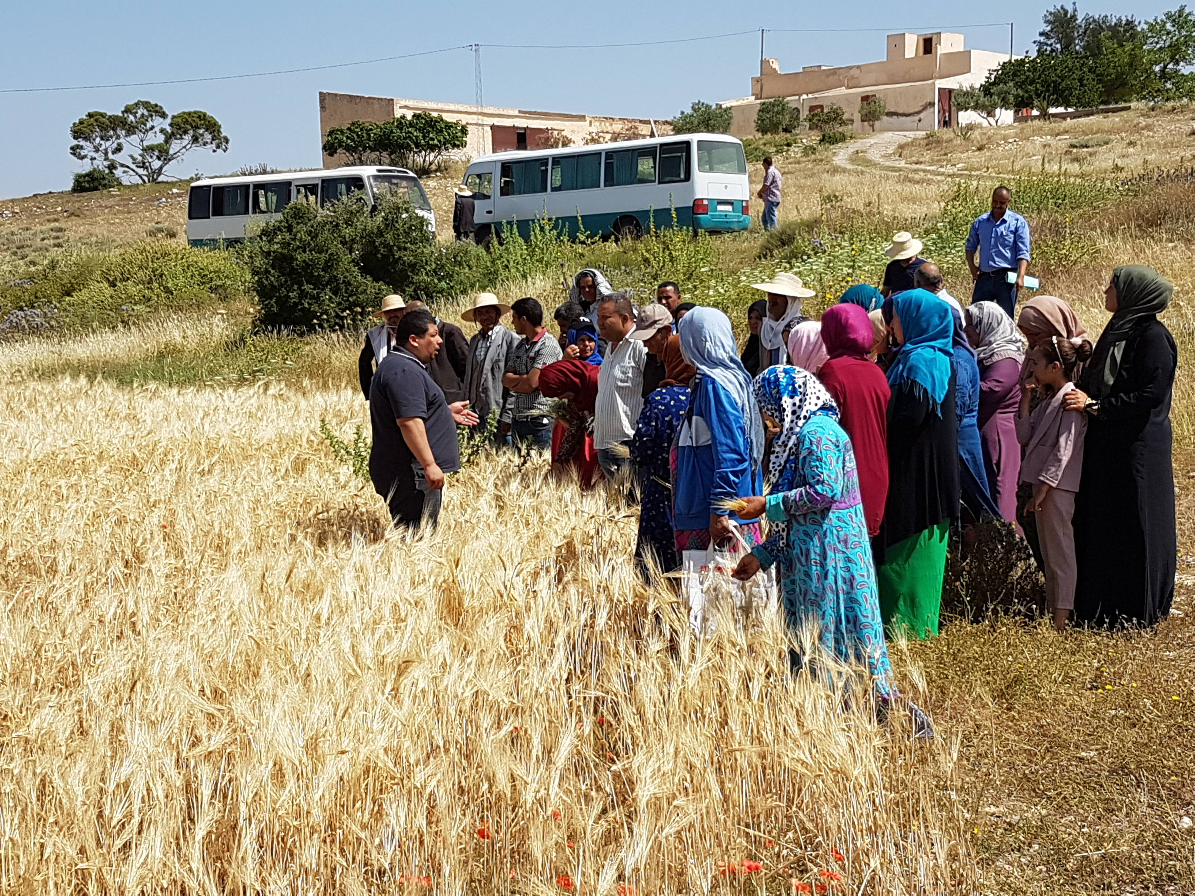 Female Empowerment training in Central Tunisia - credit: Udo Ruediger Female Empowerment training in Central Tunisia - credit: Udo Ruediger