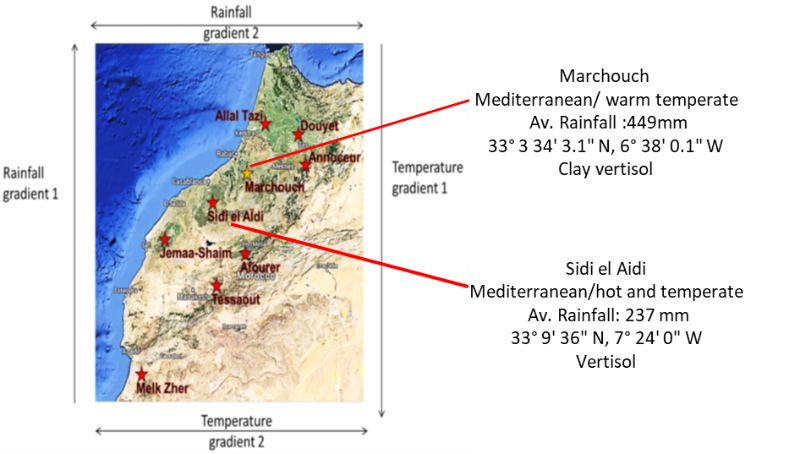 ICARDA's phenotyping facilities