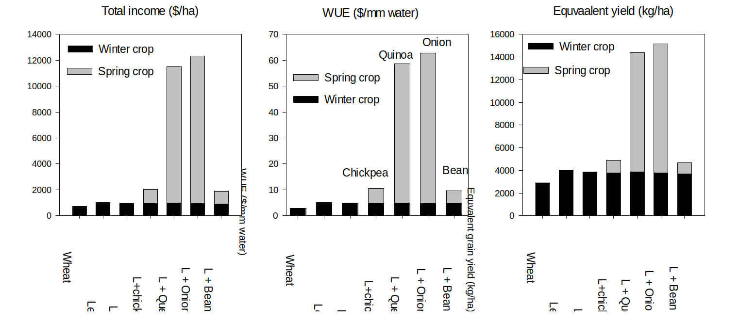 Diversified spring crop tested in Morocco Diversified spring crop tested in Morocco