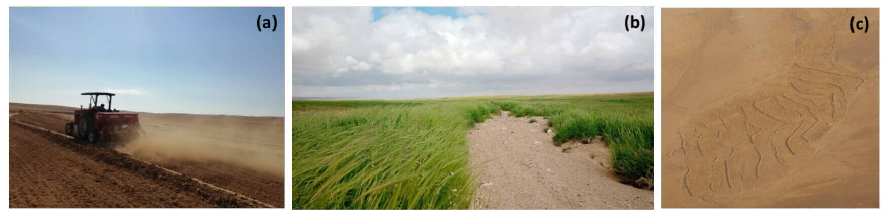 Marab water harvesting at different stages Marab water harvesting at different stages