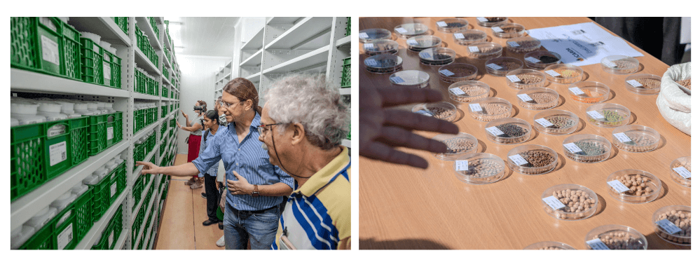 ICARDA's new genebank, inaugurated in 2022 ICARDA's new genebank, inaugurated in 2022