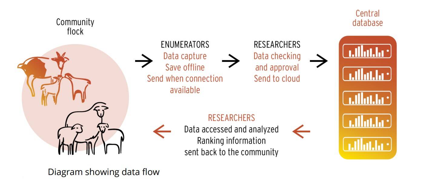 Dtreo data flow
