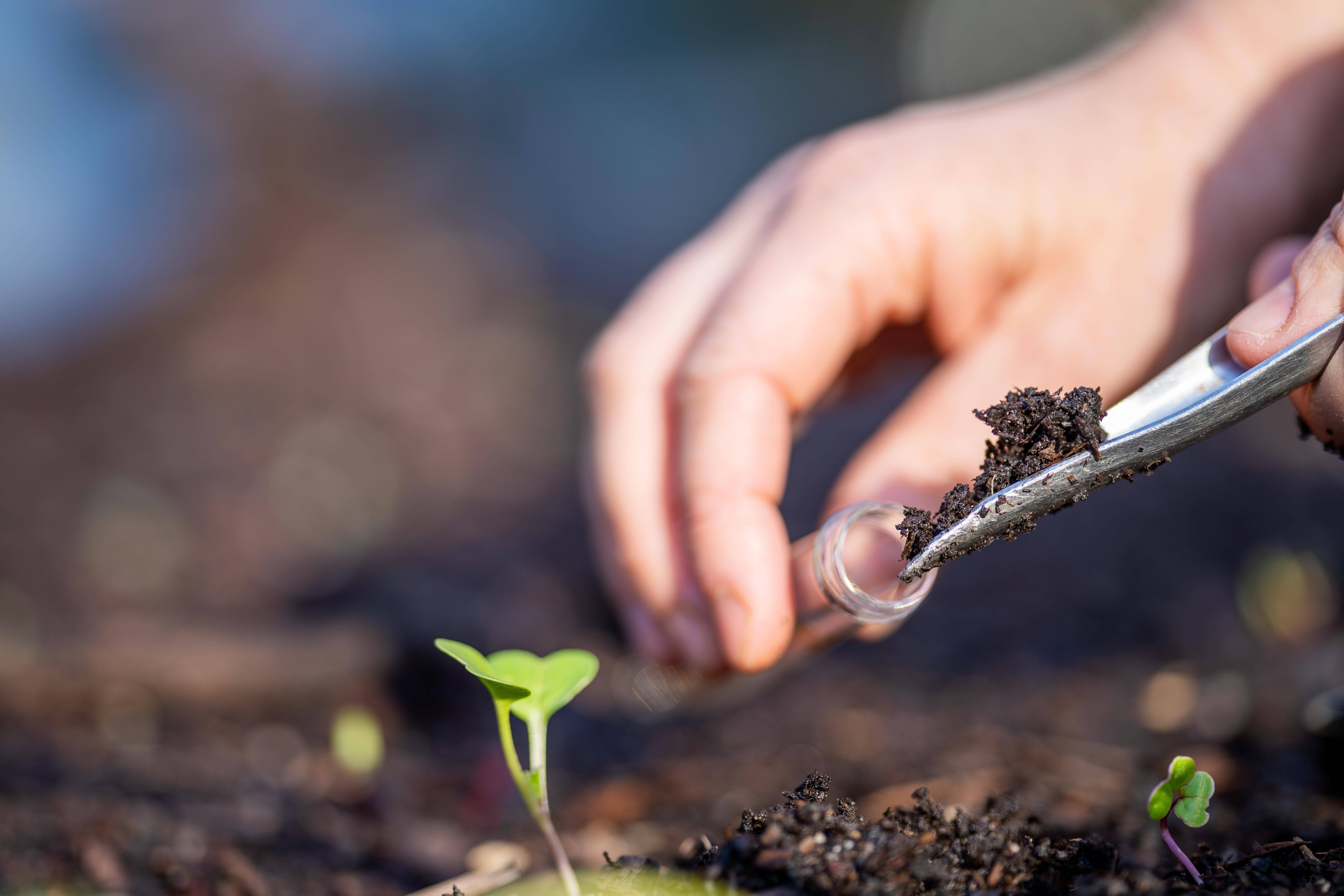 Agronomist checking soil carbon and plant health on a farm