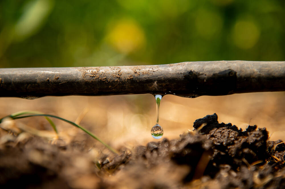 Smarter Irrigation, Smarter Soil