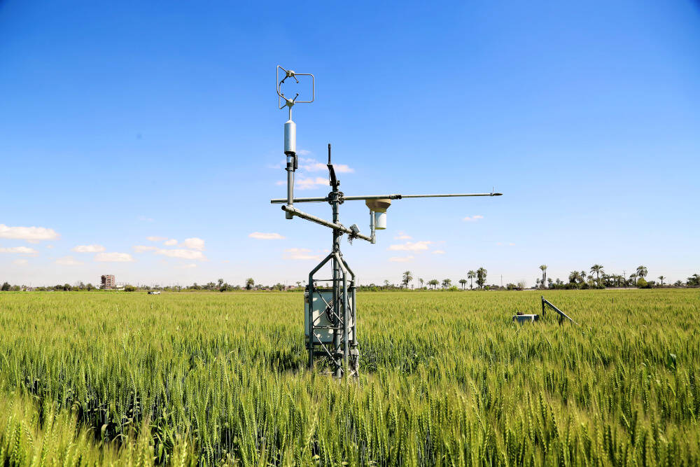 Tracking Carbon, Boosting Resilience
