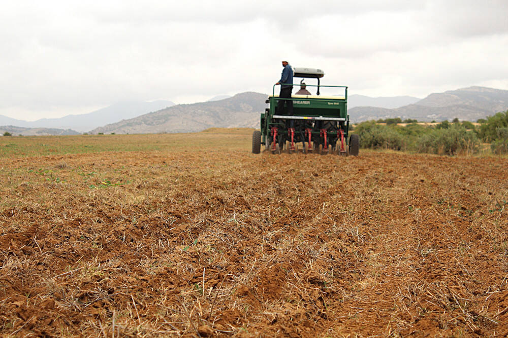 Regenerative Practices: Letting Soil Breathe