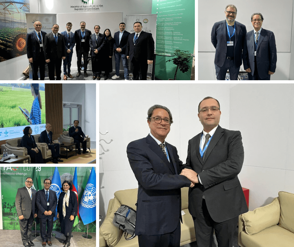 ICARDA DG at COP29