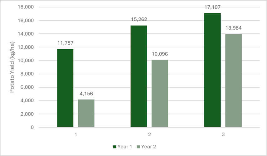 Figure 2: Potato yield recorded in Year 1 and Year 2 of the study under the three irrigation scenarios