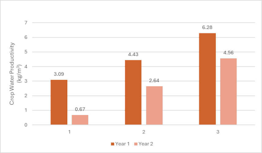 Figure 4: Water productivity recorded in year 1 and year 2 of the study under the three scenarios