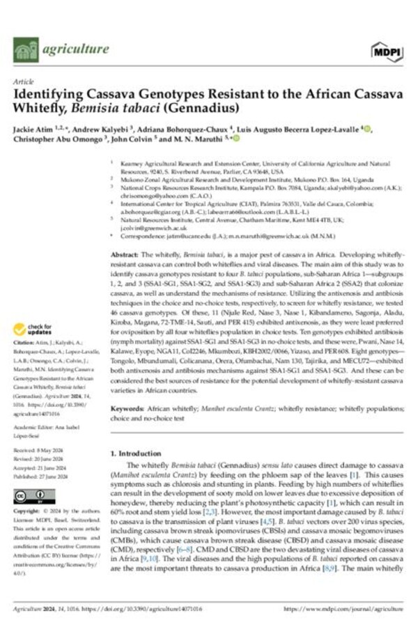 Identifying Cassava Genotypes Resistant to the African Cassava Whitefly, Bemisia tabaci (Gennadius)