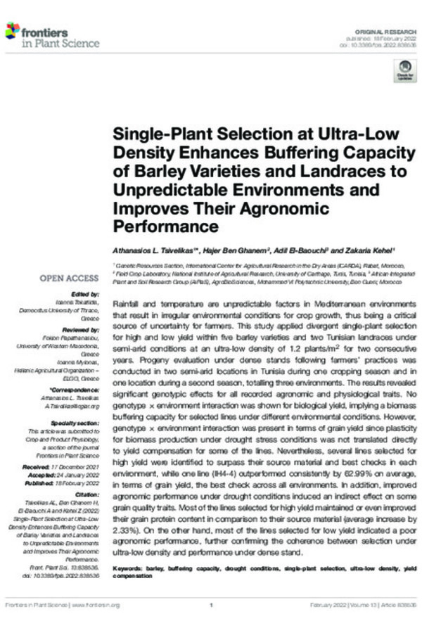 Single-Plant Selection at Ultra-Low Density Enhances Buffering Capacity of Barley Varieties and Landraces to Unpredictable Environments and Improves Their Agronomic Performance