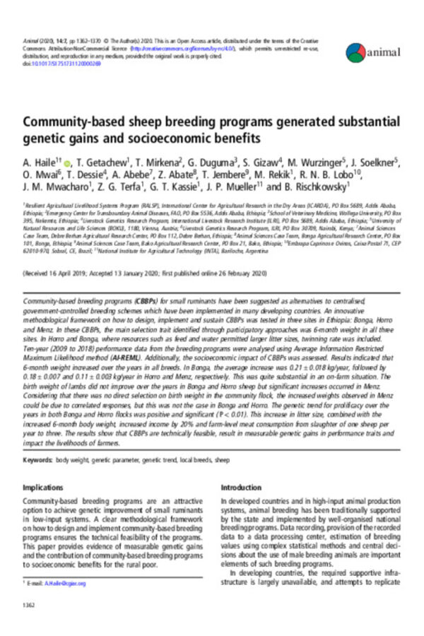 Community-based sheep breeding programs generated substantial genetic gains and socioeconomic benefits