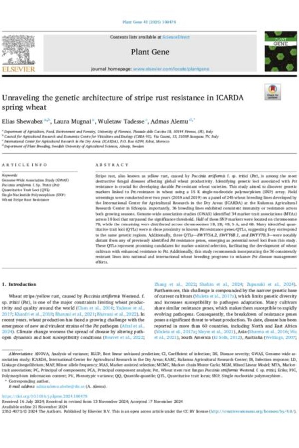 Unraveling the genetic architecture of stripe rust resistance in ICARDA spring wheat Unraveling the genetic architecture of stripe rust resistance in ICARDA spring wheat