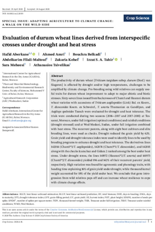 Evaluation of durum wheat lines derived from interspecific crosses under drought and heat stress Evaluation of durum wheat lines derived from interspecific crosses under drought and heat stress