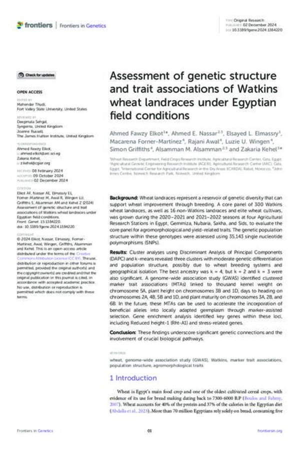 Assessment of genetic structure and trait associations of Watkins wheat landraces under Egyptian field conditions Assessment of genetic structure and trait associations of Watkins wheat landraces under Egyptian field conditions