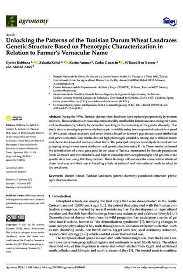 Unlocking the Patterns of the Tunisian Durum Wheat Landraces Genetic Structure Based on Phenotypic Characterization in Relation to Farmer’s Vernacular Name