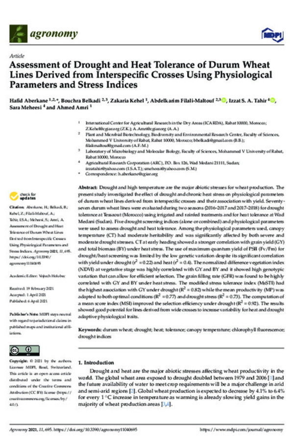 Assessment of Drought and Heat Tolerance of Durum Wheat Lines Derived from Interspecific Crosses Using Physiological Parameters and Stress Indices