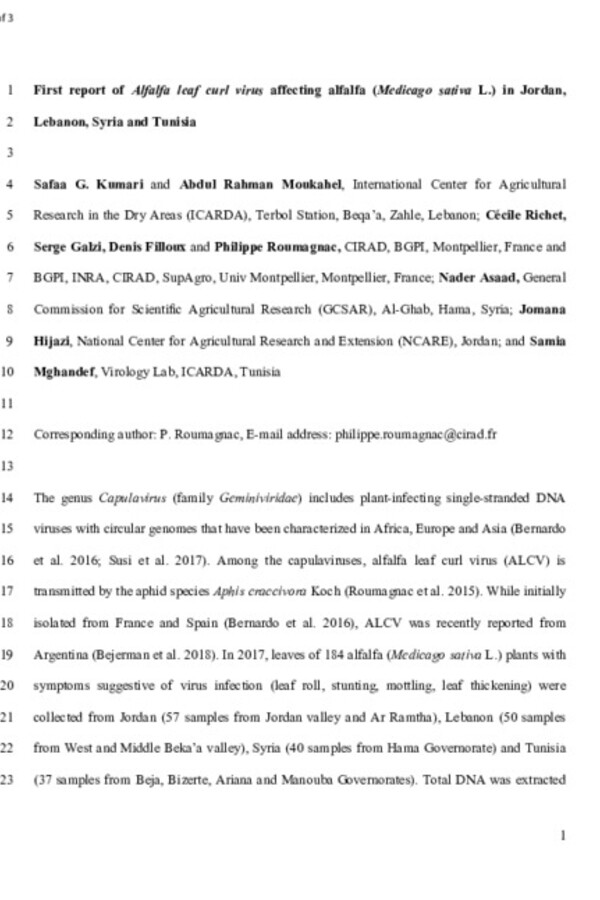 First Report of Alfalfa Leaf Curl Virus Affecting Alfalfa (Medicago sativa) in Jordan, Lebanon, Syria, and Tunisia First Report of Alfalfa Leaf Curl Virus Affecting Alfalfa (Medicago sativa) in Jordan, Lebanon, Syria, and Tunisia