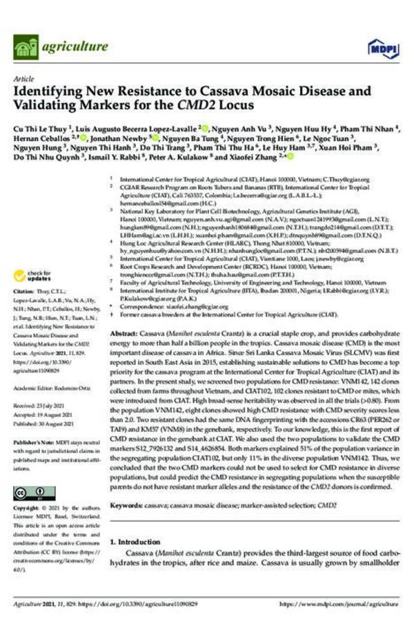 Identifying New Resistance to Cassava Mosaic Disease and Validating Markers for the CMD2 Locus