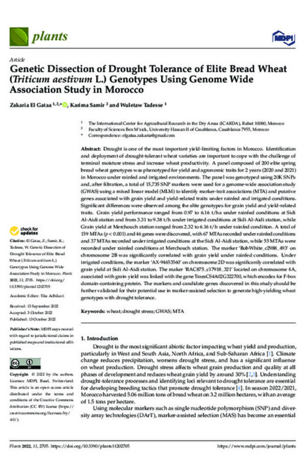 Genetic Dissection of Drought Tolerance of Elite Bread Wheat (Triticum aestivum L.) Genotypes Using Genome Wide Association Study in Morocco