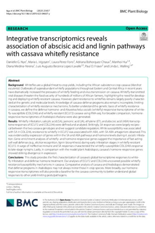 Integrative transcriptomics reveals association of abscisic acid and lignin pathways with cassava whitefly resistance