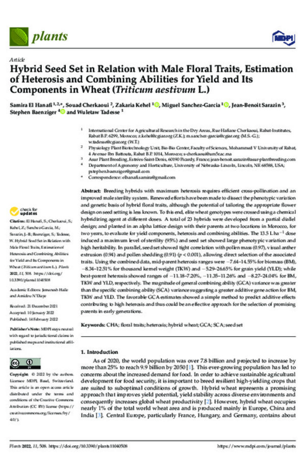 Hybrid Seed Set in Relation with Male Floral Traits, Estimation of Heterosis and Combining Abilities for Yield and Its Components in Wheat (Triticum aestivum L.)