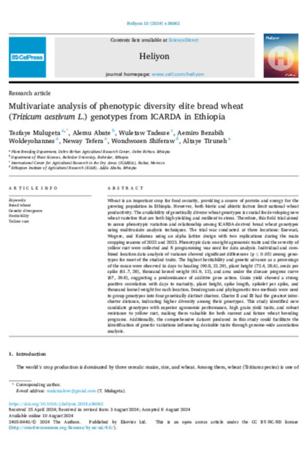 Multivariate analysis of phenotypic diversity elite bread wheat (Triticum aestivum L.) genotypes from ICARDA in Ethiopia Multivariate analysis of phenotypic diversity elite bread wheat (Triticum aestivum L.) genotypes from ICARDA in Ethiopia