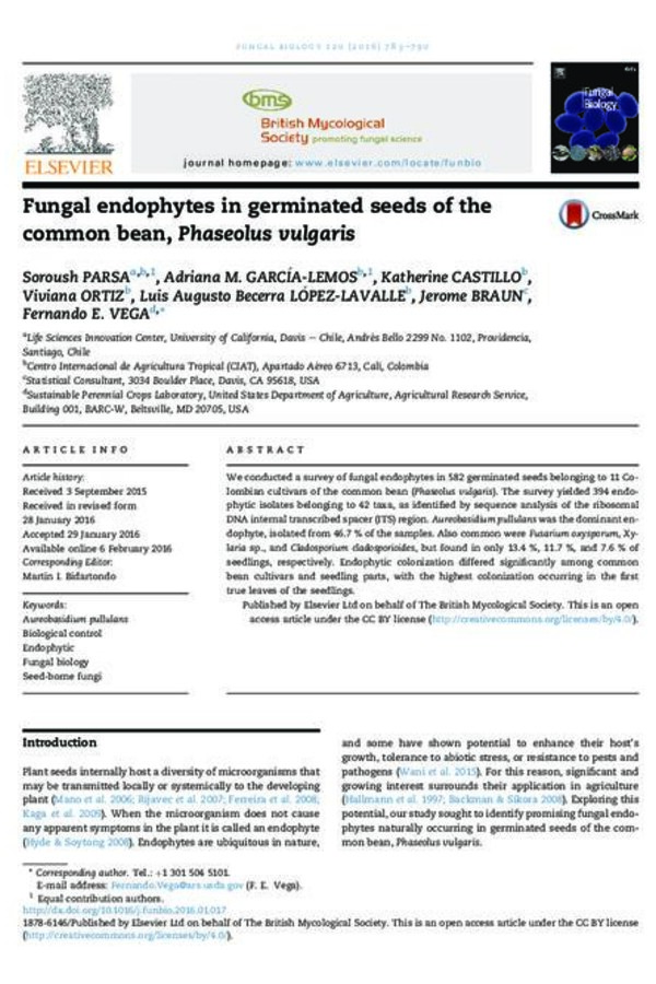 Fungal endophytes in germinated seeds of the common bean, Phaseolus vulgaris