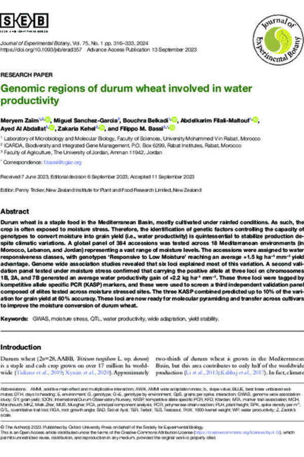 Genomic regions of durum wheat involved in water productivity