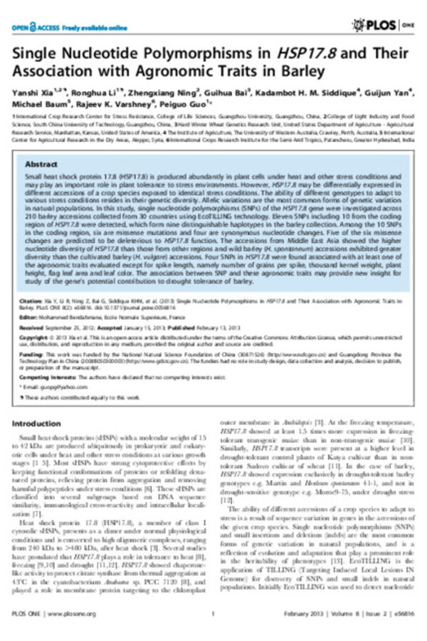 Single Nucleotide Polymorphisms in HSP17.8 and Their Association with Agronomic Traits in Barley Single Nucleotide Polymorphisms in HSP17.8 and Their Association with Agronomic Traits in Barley