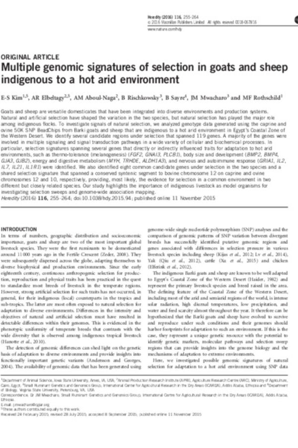 Multiple genomic signatures of selection in goats and sheep indigenous to a hot arid environment Multiple genomic signatures of selection in goats and sheep indigenous to a hot arid environment