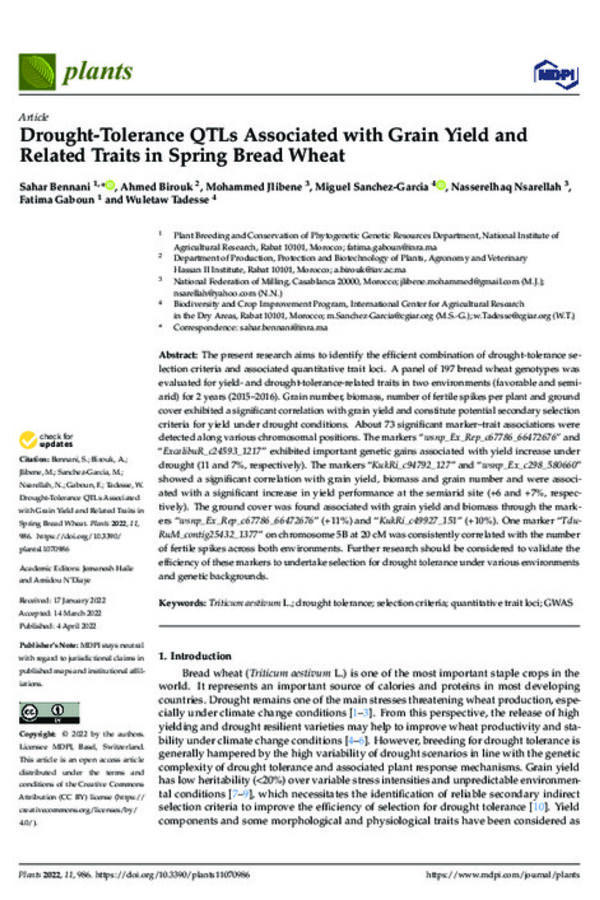 Drought-Tolerance QTLs Associated with Grain Yield and Related Traits in Spring Bread Wheat Drought-Tolerance QTLs Associated with Grain Yield and Related Traits in Spring Bread Wheat