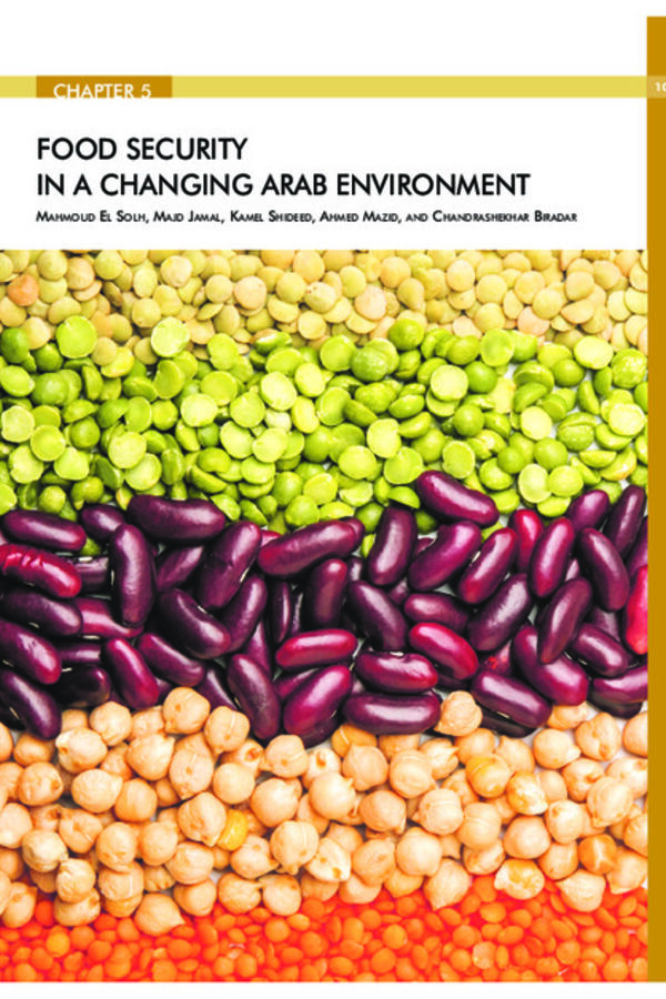 Food security in  changing Arab environment