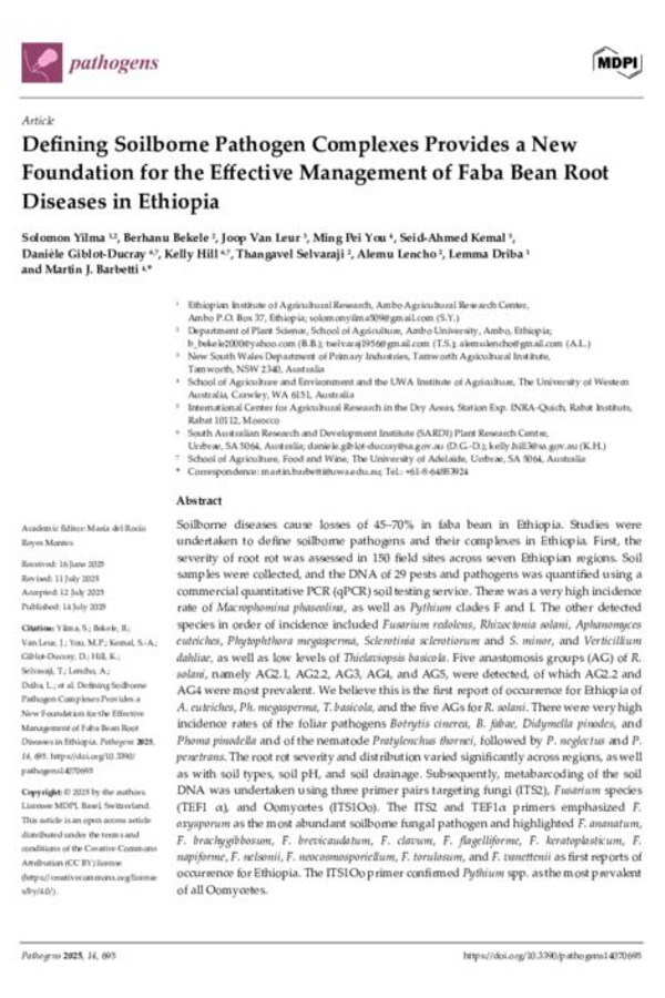 Defining Soilborne Pathogen Complexes Provides a New Foundation for the Effective Management of Faba Bean Root Diseases in Ethiopia