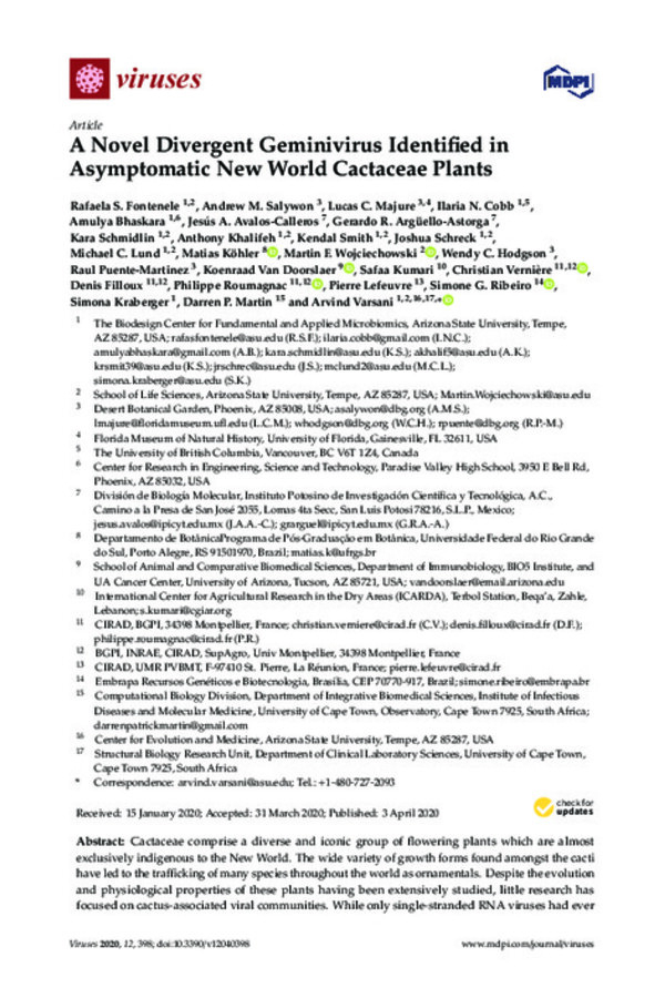 A Novel Divergent Geminivirus Identified in Asymptomatic New World Cactaceae Plants A Novel Divergent Geminivirus Identified in Asymptomatic New World Cactaceae Plants