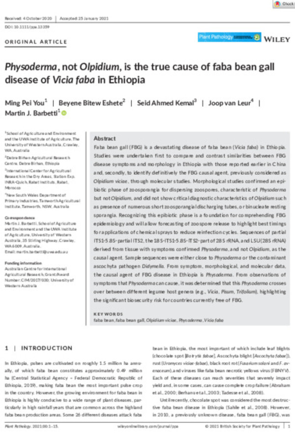 Physoderma, not Olpidium, is the true cause of faba bean gall disease of Vicia faba in Ethiopia Physoderma, not Olpidium, is the true cause of faba bean gall disease of Vicia faba in Ethiopia