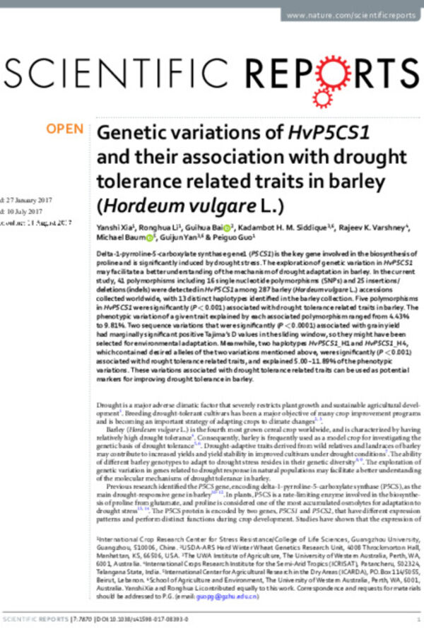 Genetic variations of HvP5CS1 and their association with drought tolerance related traits in barley (Hordeum vulgare L.)